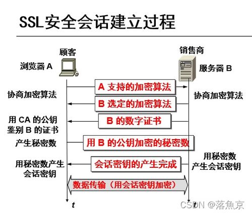 網(wǎng)絡(luò)安全與認(rèn)證技術(shù)總復(fù)習(xí) 網(wǎng)絡(luò)技術(shù)開(kāi)發(fā)關(guān)鍵要點(diǎn)